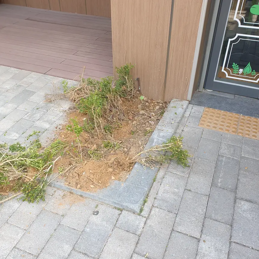 경계석·점자블록 라인 정렬 – 보도블록시공 현장 4